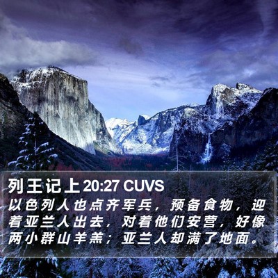 列 王 记 上 20:27 CUVS Bible Verse Image