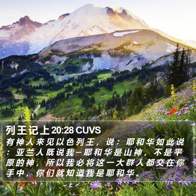 列 王 记 上 20:28 CUVS Bible Verse Image