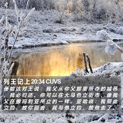 列 王 记 上 20:34 CUVS Bible Verse Image