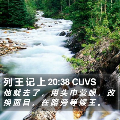列 王 记 上 20:38 CUVS Bible Verse Image