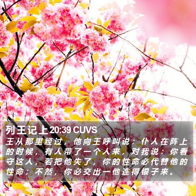 列 王 记 上 20:39 CUVS Bible Verse Image