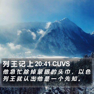 列 王 记 上 20:41 CUVS Bible Verse Image