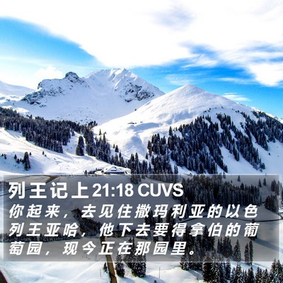 列 王 记 上 21:18 CUVS Bible Verse Image