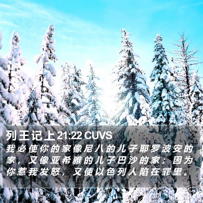 列 王 记 上 21:22 CUVS Bible Verse Image