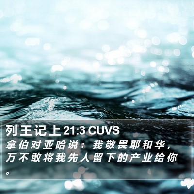 列 王 记 上 21:3 CUVS Bible Verse Image