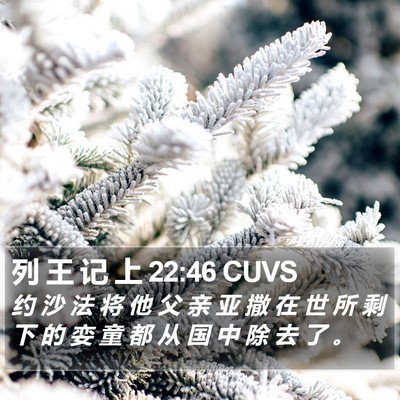 列 王 记 上 22:46 CUVS Bible Verse Image