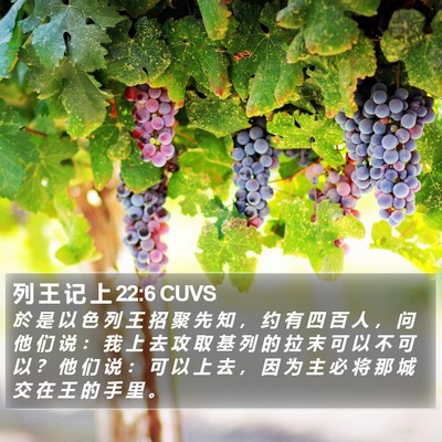 列 王 记 上 22:6 CUVS Bible Verse Image