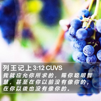 列 王 记 上 3:12 CUVS Bible Verse Image