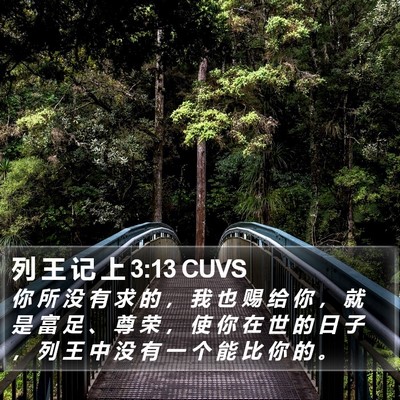 列 王 记 上 3:13 CUVS Bible Verse Image