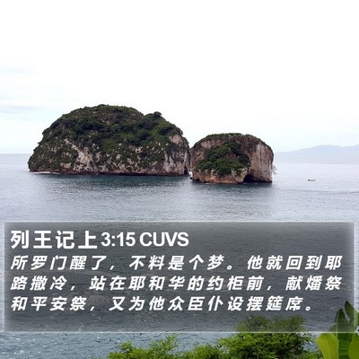 列 王 记 上 3:15 CUVS Bible Verse Image
