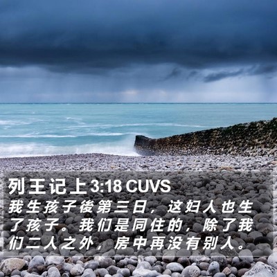 列 王 记 上 3:18 CUVS Bible Verse Image