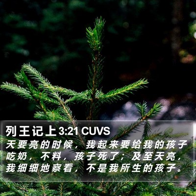 列 王 记 上 3:21 CUVS Bible Verse Image