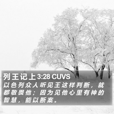 列 王 记 上 3:28 CUVS Bible Verse Image