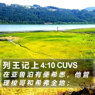 列 王 记 上 4:10 CUVS Bible Verse Image