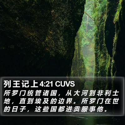 列 王 记 上 4:21 CUVS Bible Verse Image