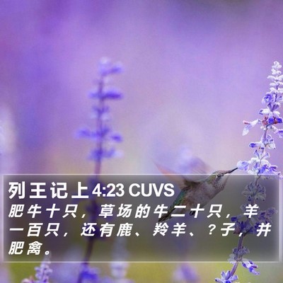 列 王 记 上 4:23 CUVS Bible Verse Image