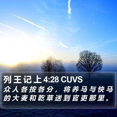 列 王 记 上 4:28 CUVS Bible Verse Image