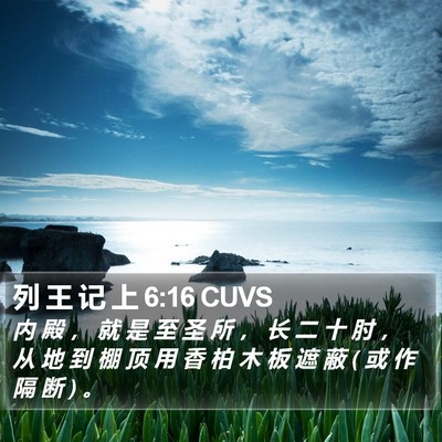 列 王 记 上 6:16 CUVS Bible Verse Image