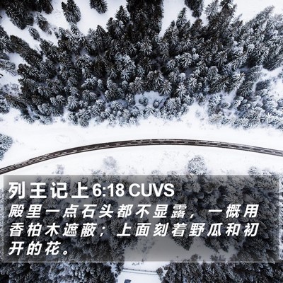列 王 记 上 6:18 CUVS Bible Verse Image