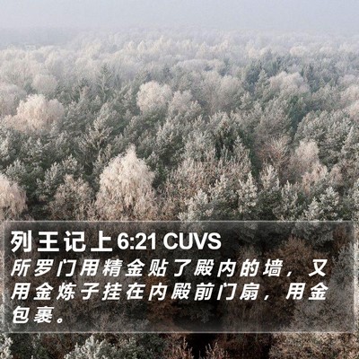 列 王 记 上 6:21 CUVS Bible Verse Image