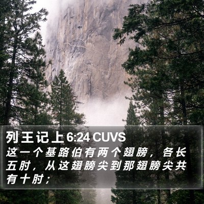 列 王 记 上 6:24 CUVS Bible Verse Image