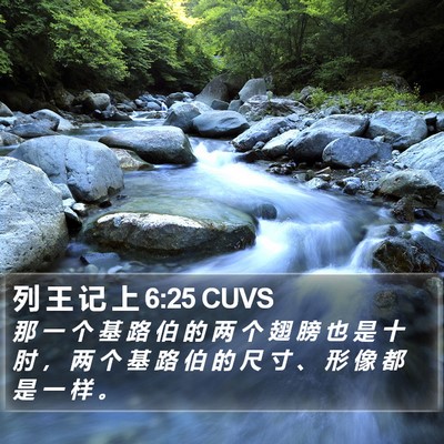 列 王 记 上 6:25 CUVS Bible Verse Image