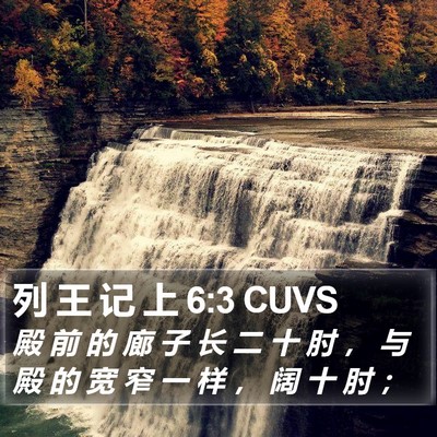 列 王 记 上 6:3 CUVS Bible Verse Image