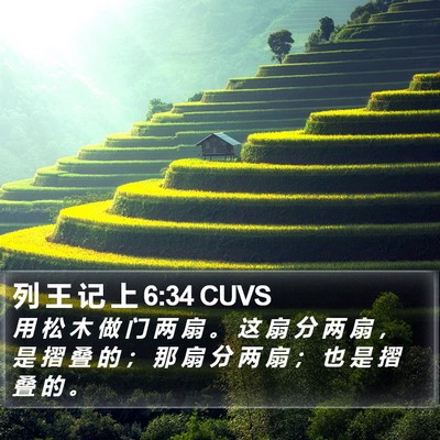 列 王 记 上 6:34 CUVS Bible Verse Image
