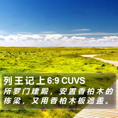 列 王 记 上 6:9 CUVS Bible Verse Image