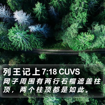 列 王 记 上 7:18 CUVS Bible Verse Image