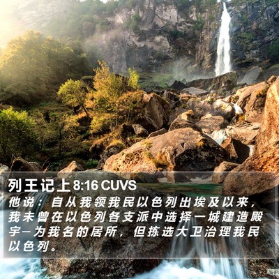 列 王 记 上 8:16 CUVS Bible Verse Image