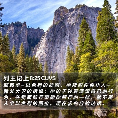 列 王 记 上 8:25 CUVS Bible Verse Image
