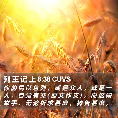 列 王 记 上 8:38 CUVS Bible Verse Image