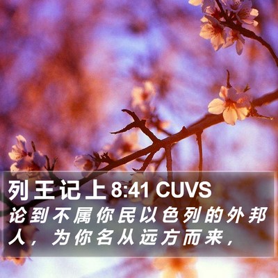 列 王 记 上 8:41 CUVS Bible Verse Image