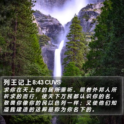 列 王 记 上 8:43 CUVS Bible Verse Image