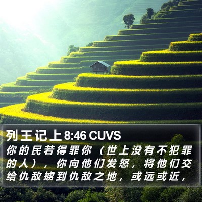 列 王 记 上 8:46 CUVS Bible Verse Image