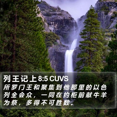 列 王 记 上 8:5 CUVS Bible Verse Image