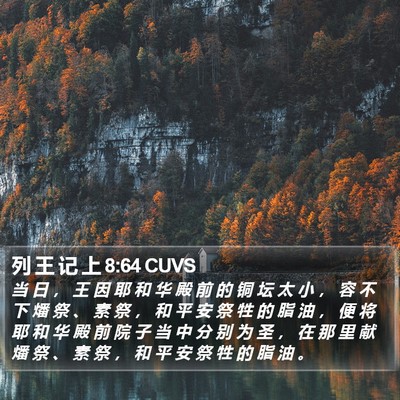 列 王 记 上 8:64 CUVS Bible Verse Image
