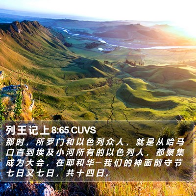列 王 记 上 8:65 CUVS Bible Verse Image