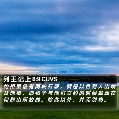 列 王 记 上 8:9 CUVS Bible Verse Image