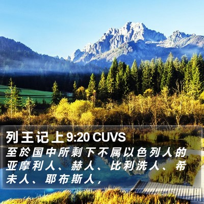 列 王 记 上 9:20 CUVS Bible Verse Image