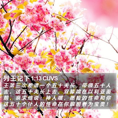 列 王 记 下 1:13 CUVS Bible Verse Image