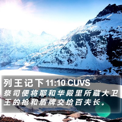 列 王 记 下 11:10 CUVS Bible Verse Image