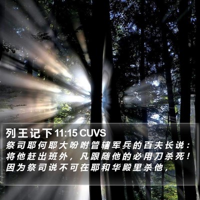 列 王 记 下 11:15 CUVS Bible Verse Image