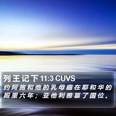 列 王 记 下 11:3 CUVS Bible Verse Image