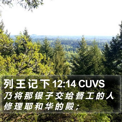 列 王 记 下 12:14 CUVS Bible Verse Image