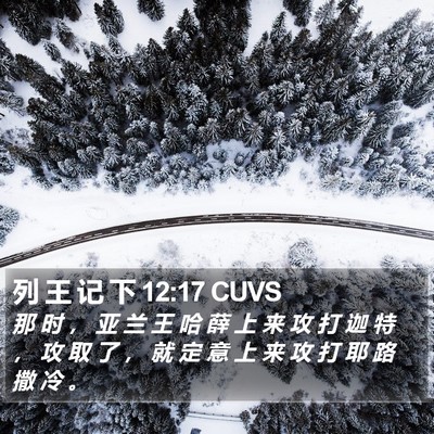 列 王 记 下 12:17 CUVS Bible Verse Image