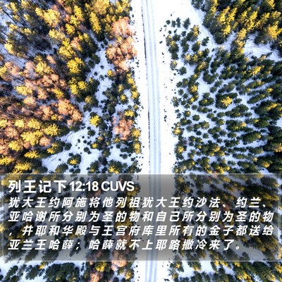 列 王 记 下 12:18 CUVS Bible Verse Image