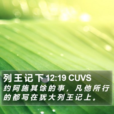 列 王 记 下 12:19 CUVS Bible Verse Image