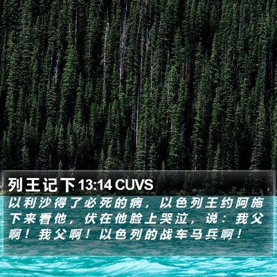 列 王 记 下 13:14 CUVS Bible Verse Image